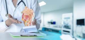 Doctor using a model to explain the anatomy of the nose and throat mucous membranes during ENT education related to nasal surgery.